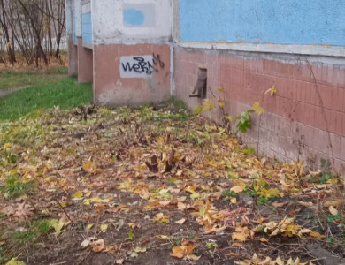 Обрезка кустарников - 1