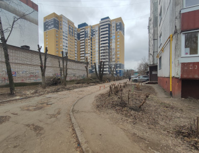 Кронирование деревьев - 2 Кронирование деревьев - 2