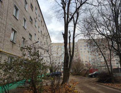 Кронирование деревьев - 1 Кронирование деревьев - 1