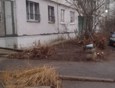 Обрезка поросли и кустарников с дворового фасада МКД - 3 Обрезка поросли и кустарников с дворового фасада МКД - 3